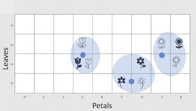 Flowers with different features grouped into clusters