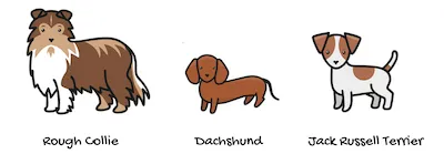 Three different breeds of dogs with labels